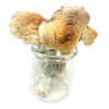 Buy Amazonian Magic Mushroom Online