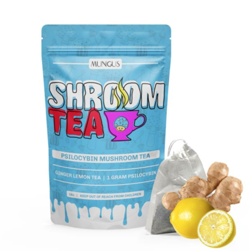 Buy Ginger Lemon Shroom Tea 1 GRAM Online
