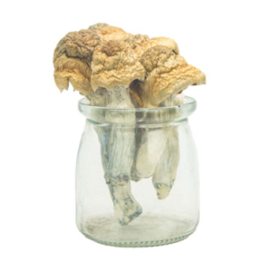 Buy Monster Mack Magic Mushrooms Online